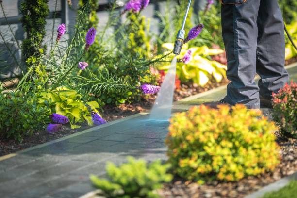 Reliable Ocoee, FL Pressure Washing Services Solutions