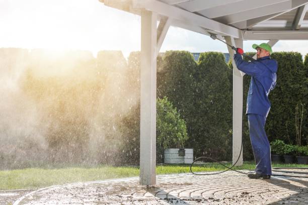 Best Rust Removal  in Ocoee, FL